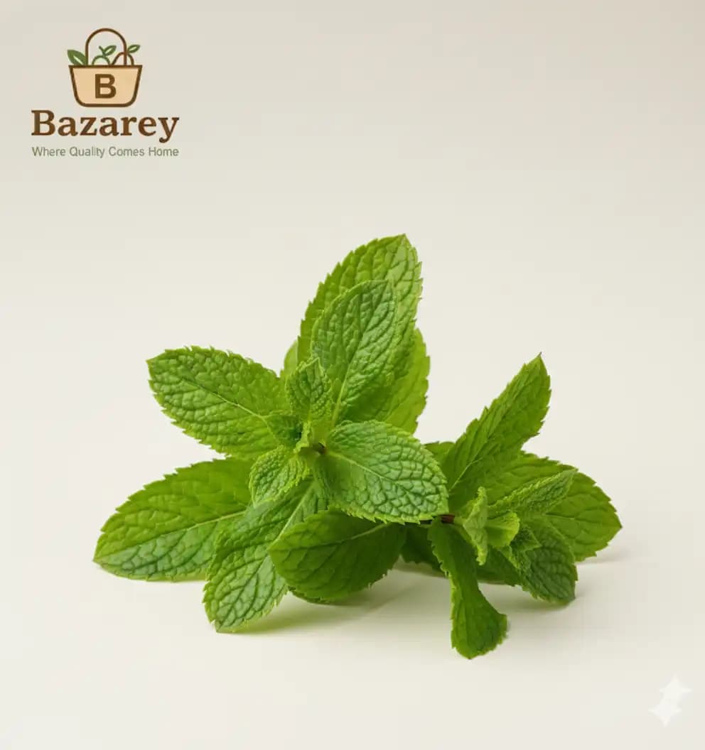 Mint Leaves (পুদিনা পাতা)  - View 1
